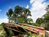 Tipilikwani Mara Camp - Bridge 